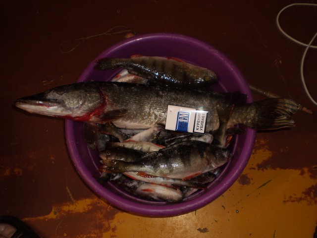 PB060021.jpg