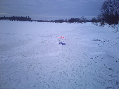 IMG0532.jpg