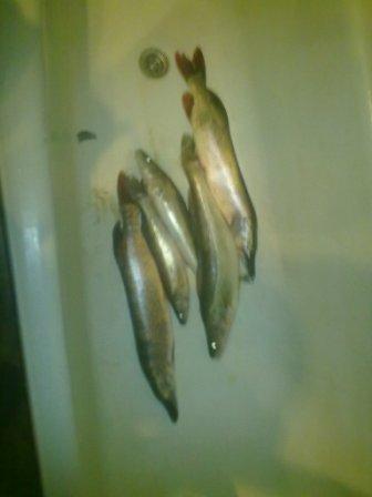 04102010003.jpg