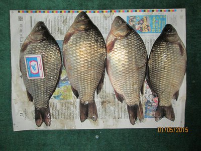 IMG_0017.JPG