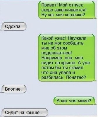 Khzdsjk5qb8.jpg