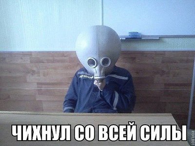 888927.jpg