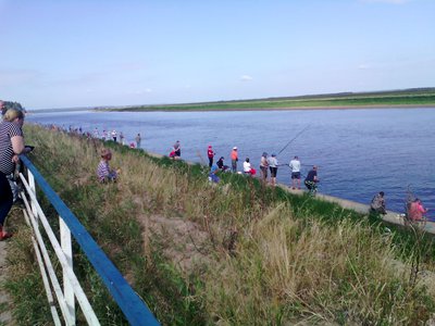 IMG_20160820_102552г76кг.jpg