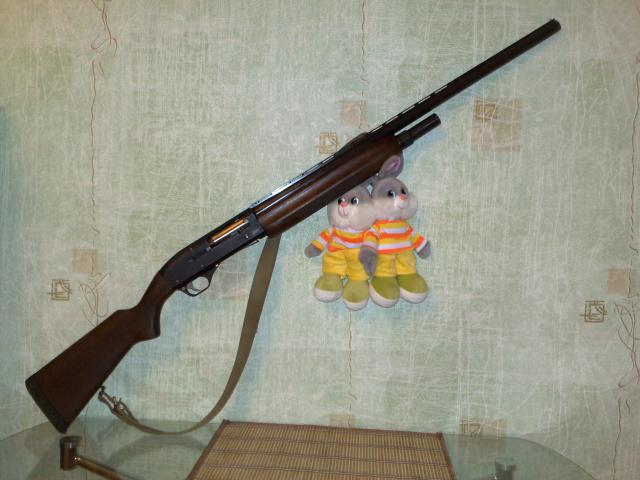 256056.jpg