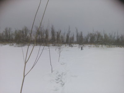 IMG_20161125_145939.jpg