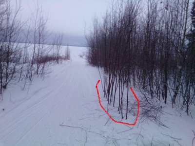 IMG_20170114_091416з.jpg