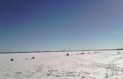 IMG_20170401_104207.jpg