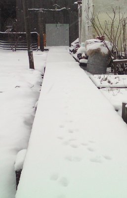 IMG_20170417_080519.jpg