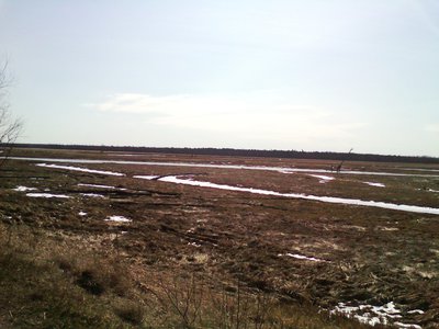 ззз.jpg