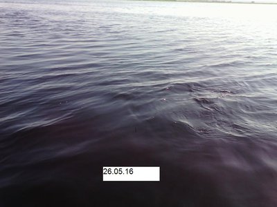 IMG_20160526_092629.jpg