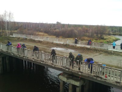 IMG_20171008_145955акап.jpg