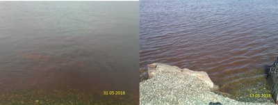IMG_20180513_135639.jpg