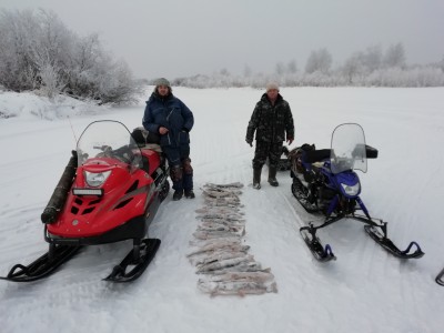 IMG_20181127_115005.jpg