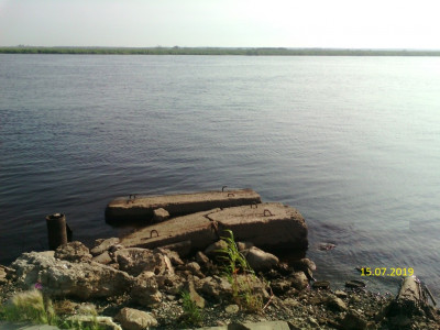 IMG_20190715_075616.jpg