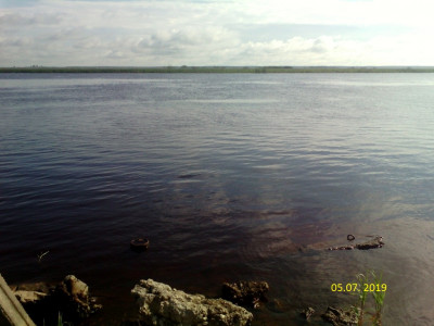 IMG_20190705_082718.jpg
