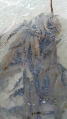 VID_20200902_190342 (2).png