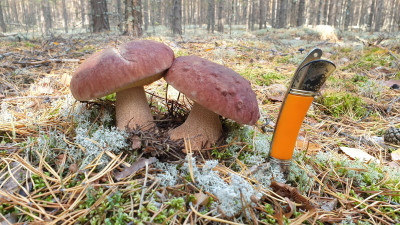 20200915_101141-min.jpg