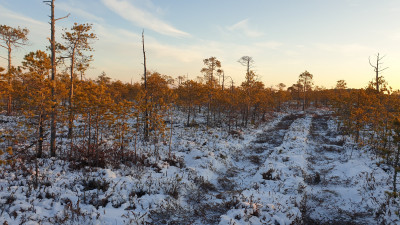 20201122_092515-min.jpg