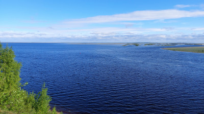 20220530_080836.jpg