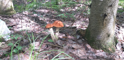 20220707_120731.jpg