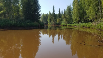 20220805_110118.jpg