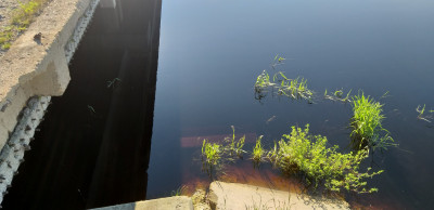 20220617_070954.jpg