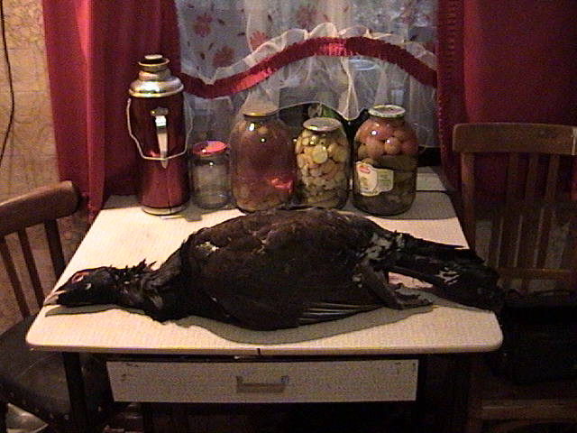 DSC00162.JPG
