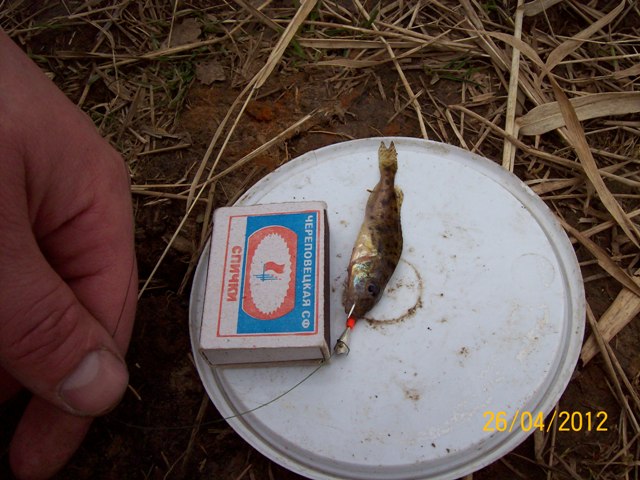 100_6453.JPG