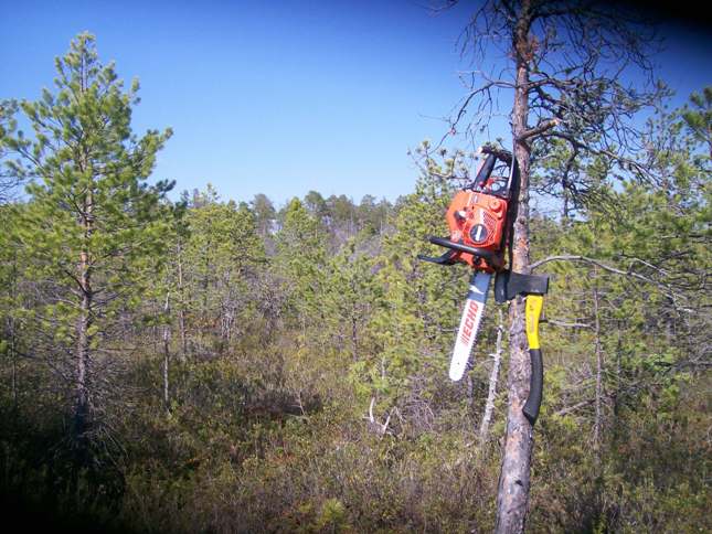 100_2715.jpg