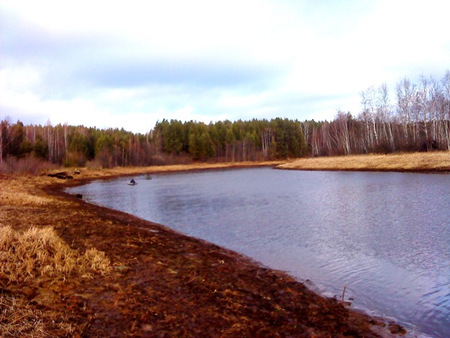 DSC05644.JPG