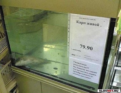getImage (6).jpg