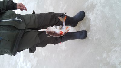 20140420_111502.jpg