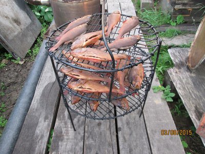IMG_0091.JPG