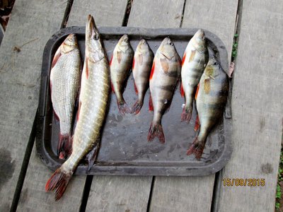IMG_0129.JPG