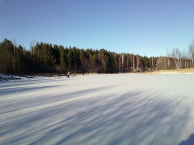 IMG_20151021_135553.jpg
