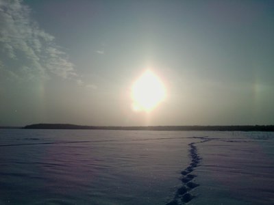 IMG_20160112_132431гощшгш9.jpg