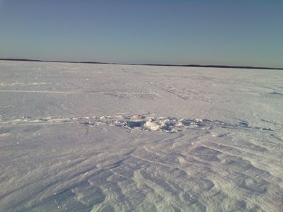 IMG_20160207_144937.jpg