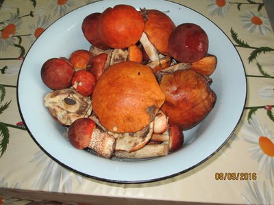 IMG_0407.JPG