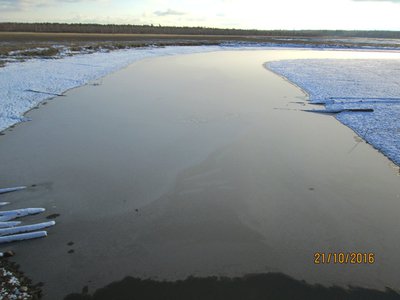 IMG_0442.JPG