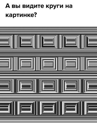 27072917_1649340948492596_5114916317718859398_n.jpg