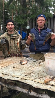 IMG_2119.JPG