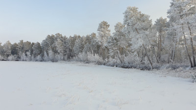 20201129_131725-min.jpg