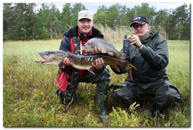 Image003.jpg