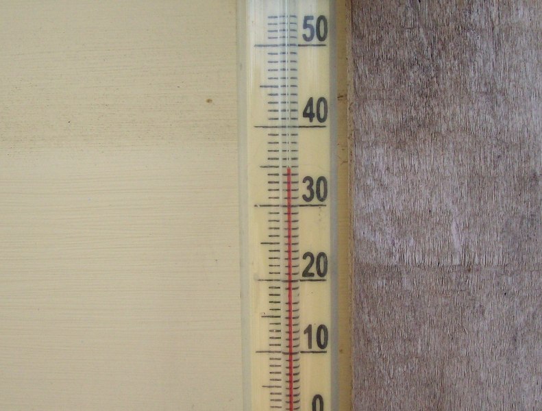 100_6529.JPG