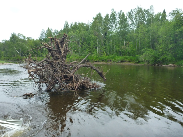 32.JPG